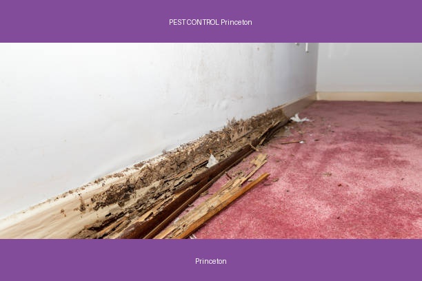 PEST CONTROL Princeton